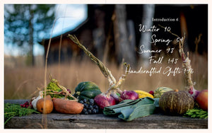 Sample page from inside with introduction and table of contents. Pictured is various colorful fruits and vegetables. 