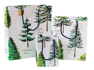 Pine and fir trees on a white background gift bags of three sizes