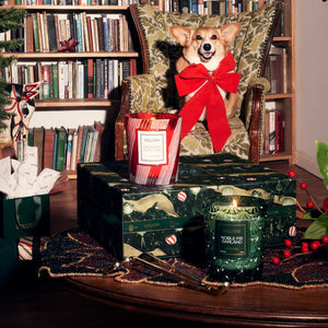 Voluspa holiday gift set box with the two candles on top and the wick trimmer on a table. Behind is a corgi in a patterned chair with a large red bow.